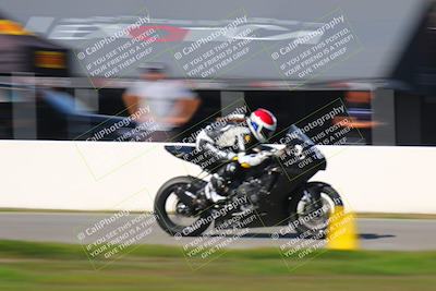 media/Feb-13-2022-CRA (Sun) [[c08943dfb2]]/Race 8/Speed Shots/